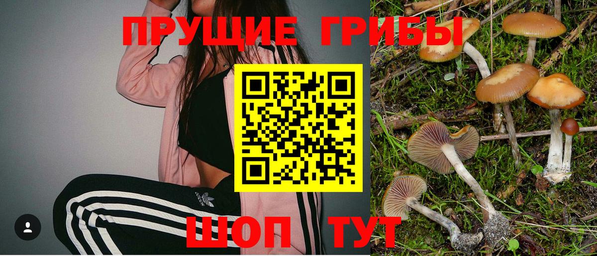 Псилоцибиновые грибы Magic Shrooms  Вход с VPN  Клинцы 
